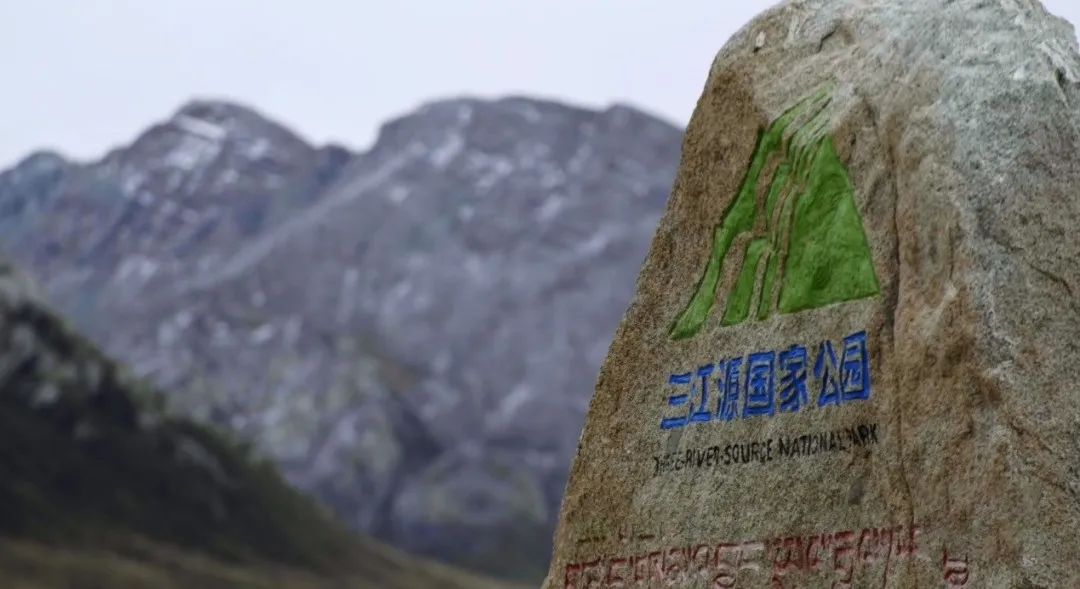 三江源+新能源，保護站+能源站，威勝電氣助力可可西里生態保護邁入電氣化時代